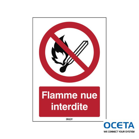 P/P003/FR342-PP-210x297/1-B Flammes nues interdites