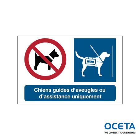 I/P021/X310/FR600-SA-200X125-1/B Panneaux sur les chiens d’assistance