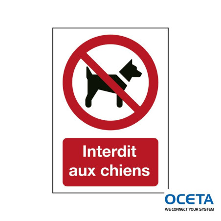 P/P021/FR378/TWM-148X210-1 Signalisation ISO -  Interdit aux chiens