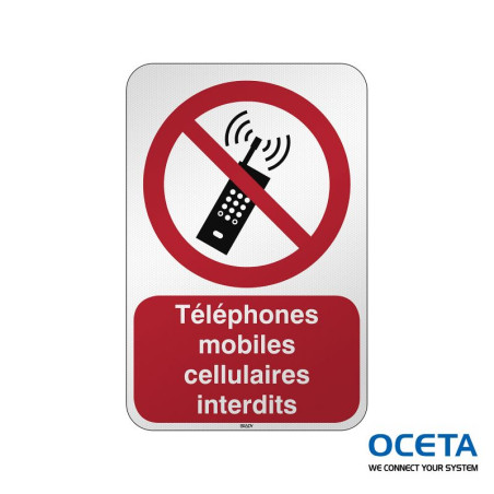 P/P013/FR529/RFL-390X590-1 Interdiction d'activer des téléphones