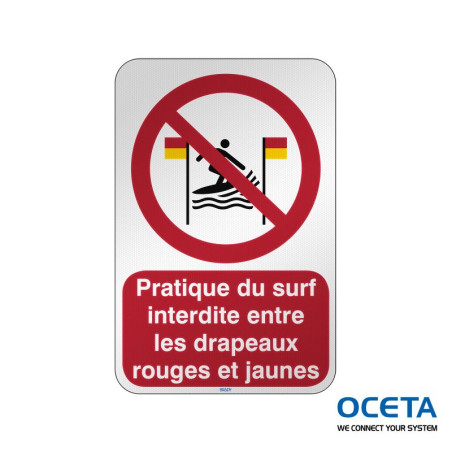 P/P064/FR700/RFL-390X590-1 Pratique du surf interdite entre  drapeaux