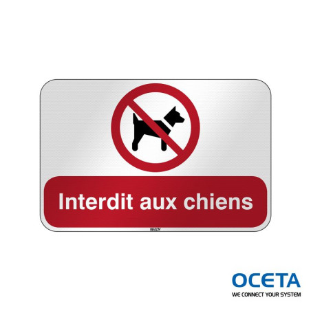 P/P021/FR378/RFL-590X390-1 Interdit aux chiens