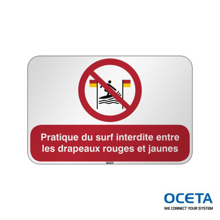 P/P064/FR700/RFL-590X390-1 Pratique du surf interdite entre  drapeaux