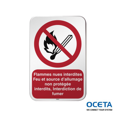 P/P003/FR344/RFLBD-400X600-1  Flammes nues interdites