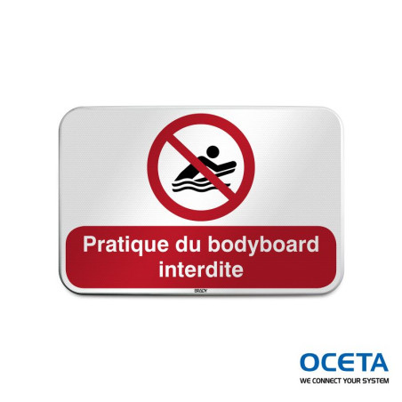 P/P063/FR699/RFLBD-600X400-1  Pratique du bodyboard interdite