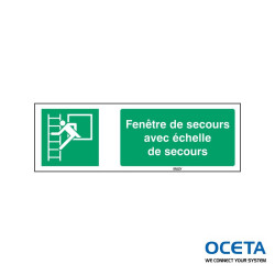 STFR E016-297x105-PE-CRD/1  Fenêtre de secours avec échelle de secours