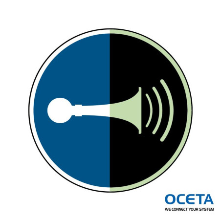M/M029/NT-SA-PHOLUMC-Dia 150/1-B Pictogramme sécurité phosphorescent